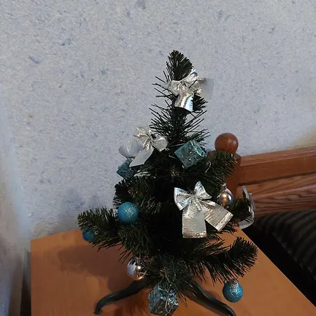 Pensión маковиця 3*